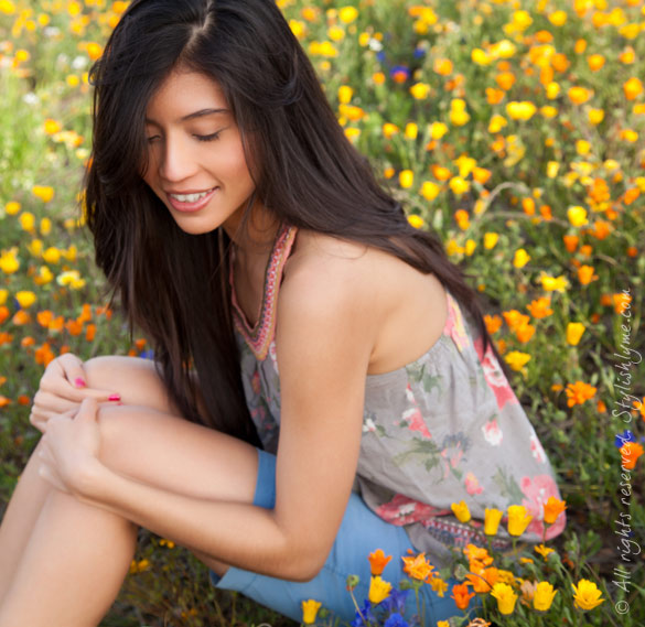Field of Flower Photo
