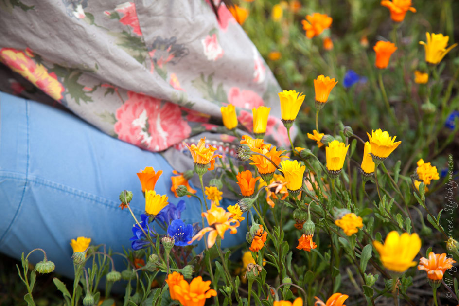 Pastels and Flowers for Spring