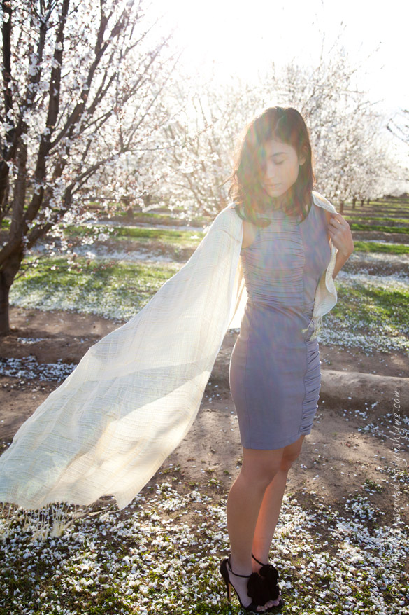 Stylishlyme Lavender BCBG Dress Lavender BCBG Dress