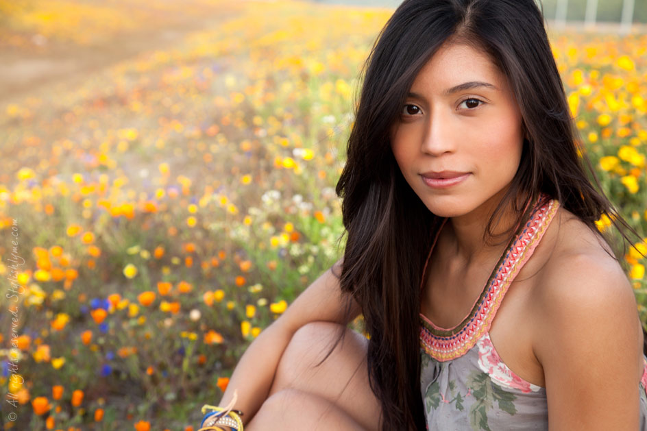 Yellow Flower Field