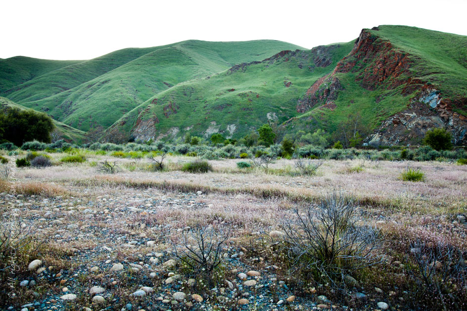 Stylishlyme - Green California Hills