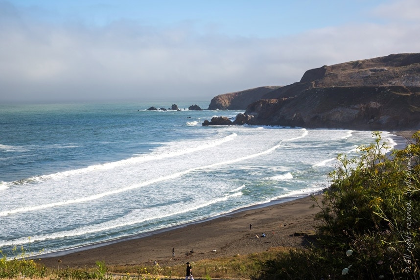 Pacific Coastal Highway View