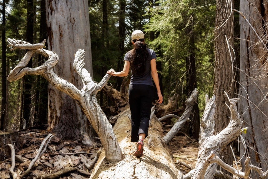 Stylishlyme - Walking on a fallen tree
