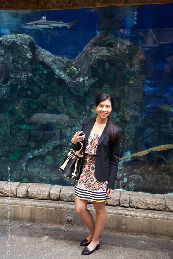 Shark Reef Aquarium Las Vegas Nevada