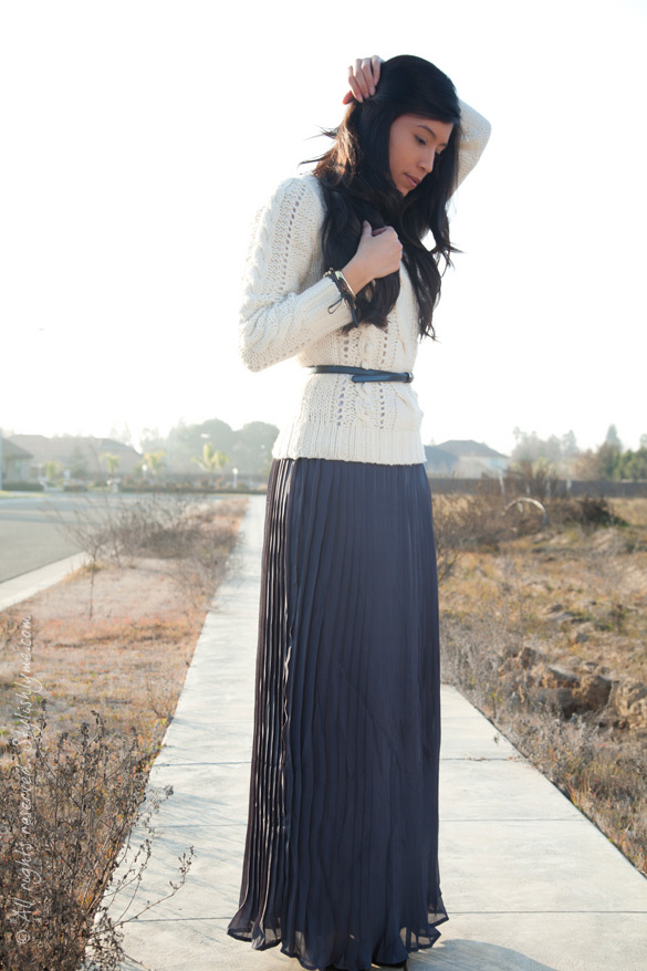 Long Pleated Skirt and Knit