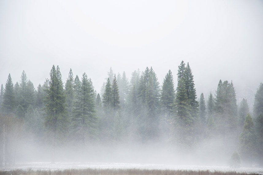Stylishlyme - Foggy Yosemite