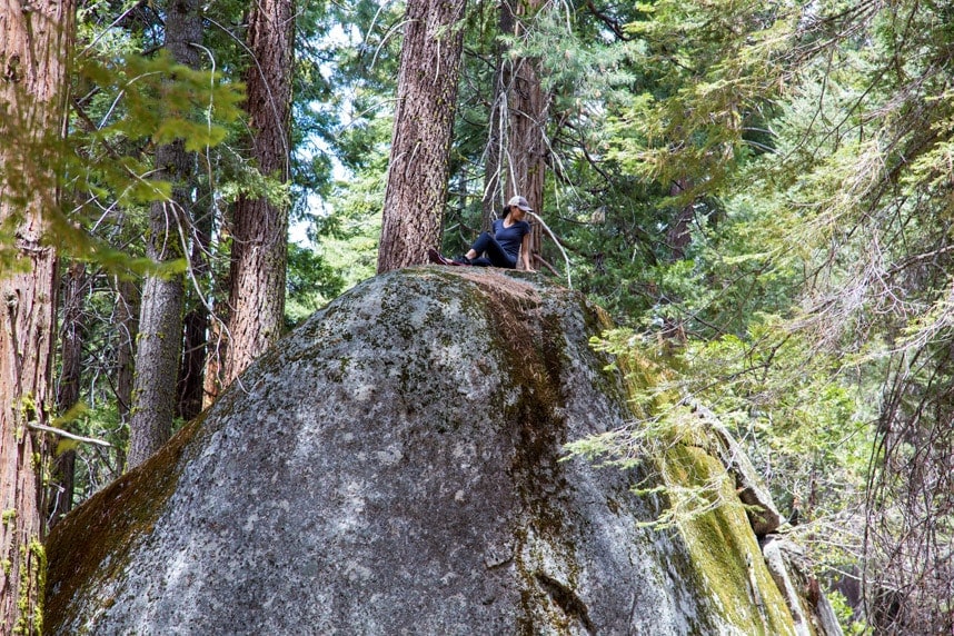Stylishlyme - Sitting on a rock Sequoia