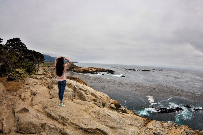 Stylishlyme - Point Lobos Ocean View
