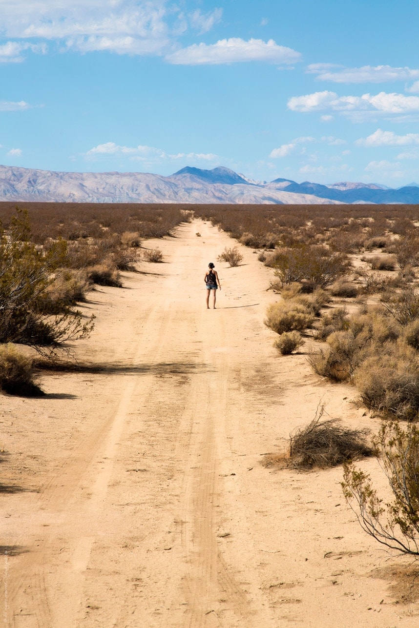 Desert Dirt Road Nevada - Stylishlyme
