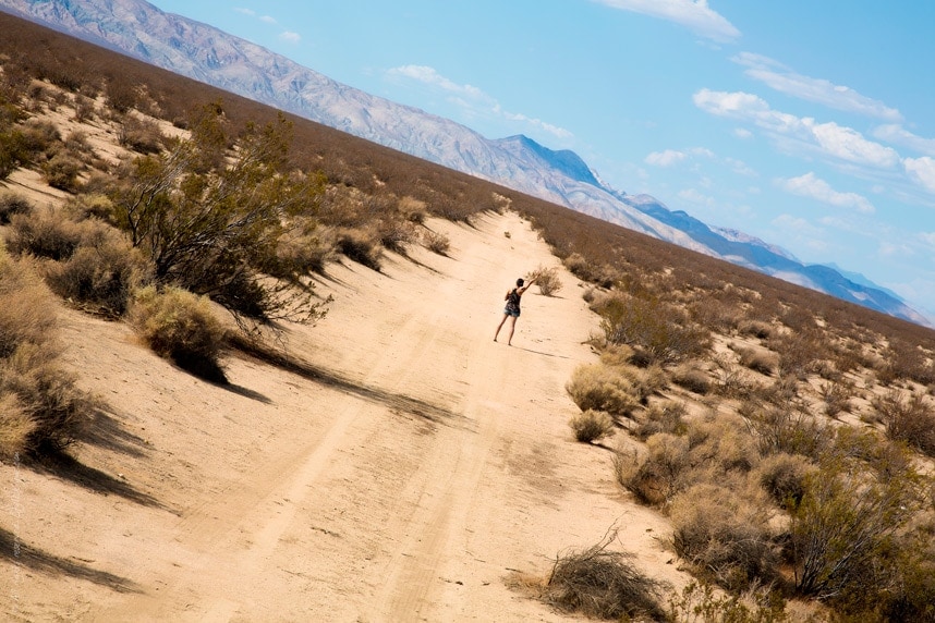 Lonely Desert Dirt Road - Stylishlyme