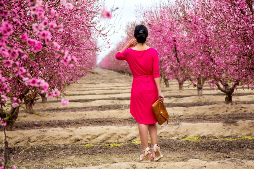 photos pink spring blossoms - Stylishlyme.com