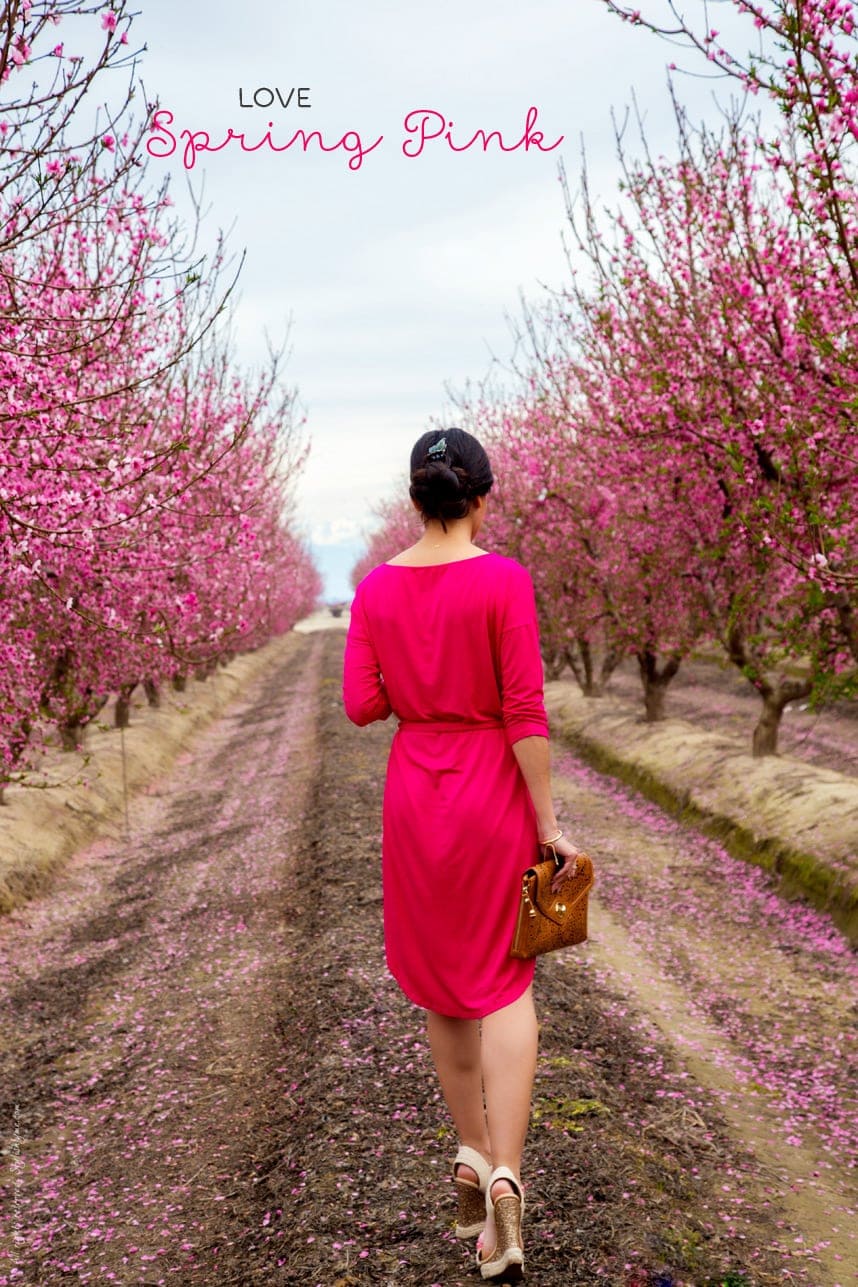 walking along a field of blossoms - Stylishlyme.com