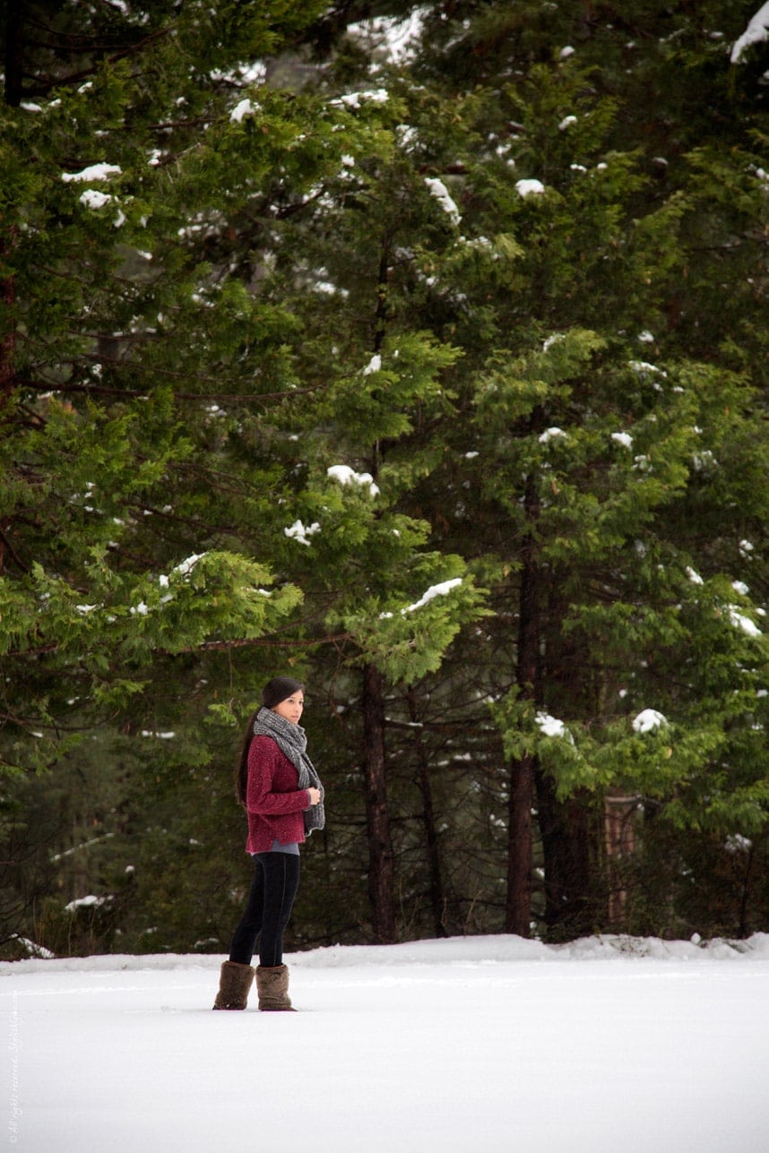 winter in sequoia national park - Stylishlyme.com