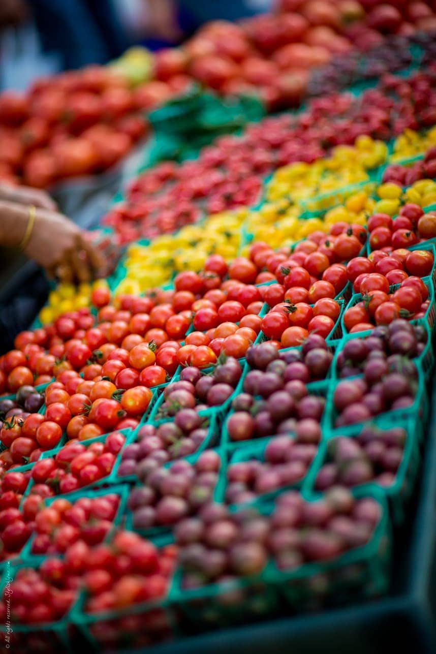 Farmers Market Mini Tomatoes - Stylishlyme.com