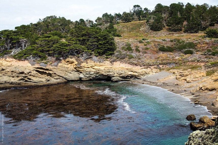 The best weather in Point Lobos California  - Visit stylishlyme.com/travels for more travel tips and travel photos