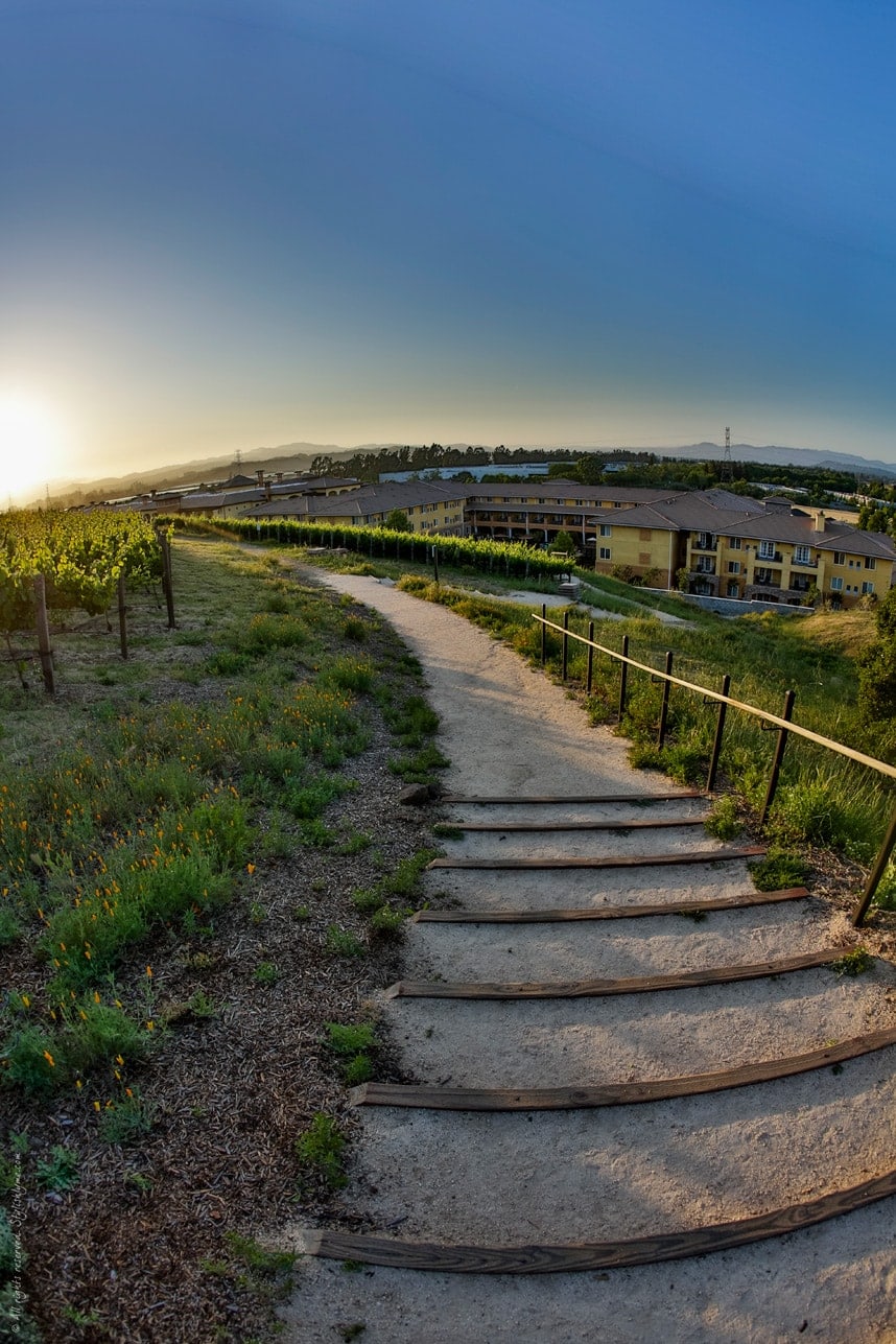 running path in the meritage resort napa - working out while traveling 