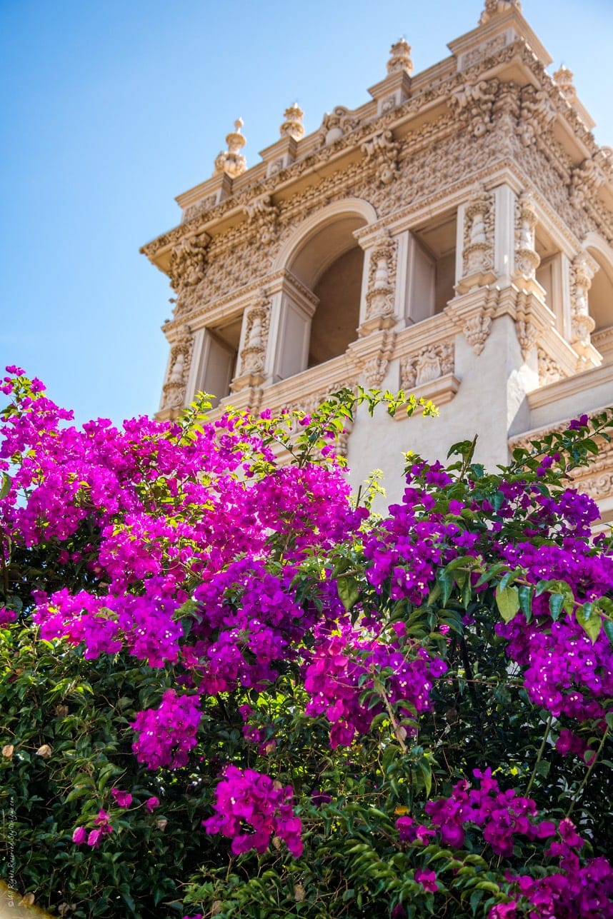 Gorgeous Balboa Park-Visit Stylishlyme.com to read the 25 Reasons Why You Need to Visit Balboa Park San Diego!
