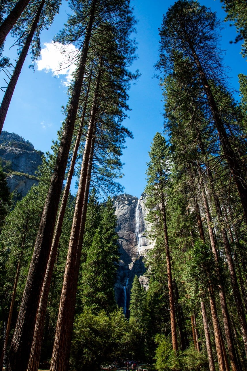 Yosemite falls - California travel blog - Visit Stylishlyme.com to view the Unforgettable Yosemite Day Trip Guide 