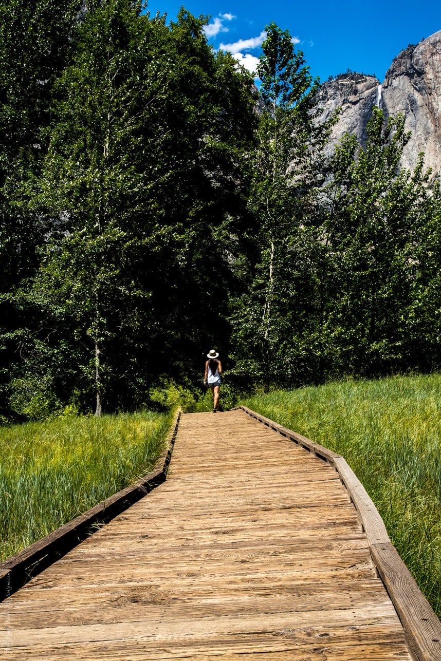 Yosemite meadow walking paths - California travel blog - Visit Stylishlyme.com to view the Unforgettable Yosemite Day Trip Guide 