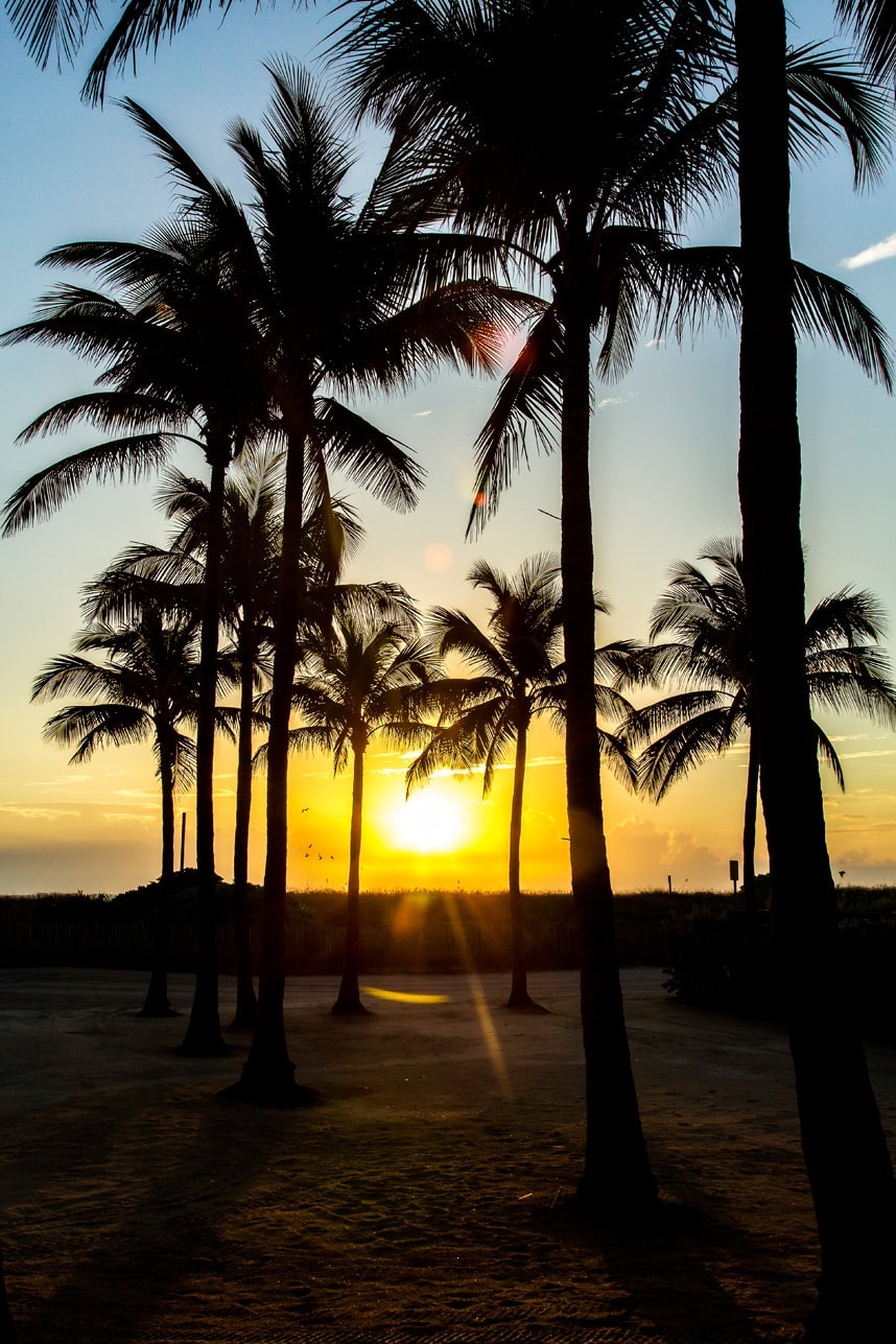 Sunrise in Miami Beach - Palm Trees and sunshine- Visit Stylishlyme.com to view more pics and read some beach fashion tips!