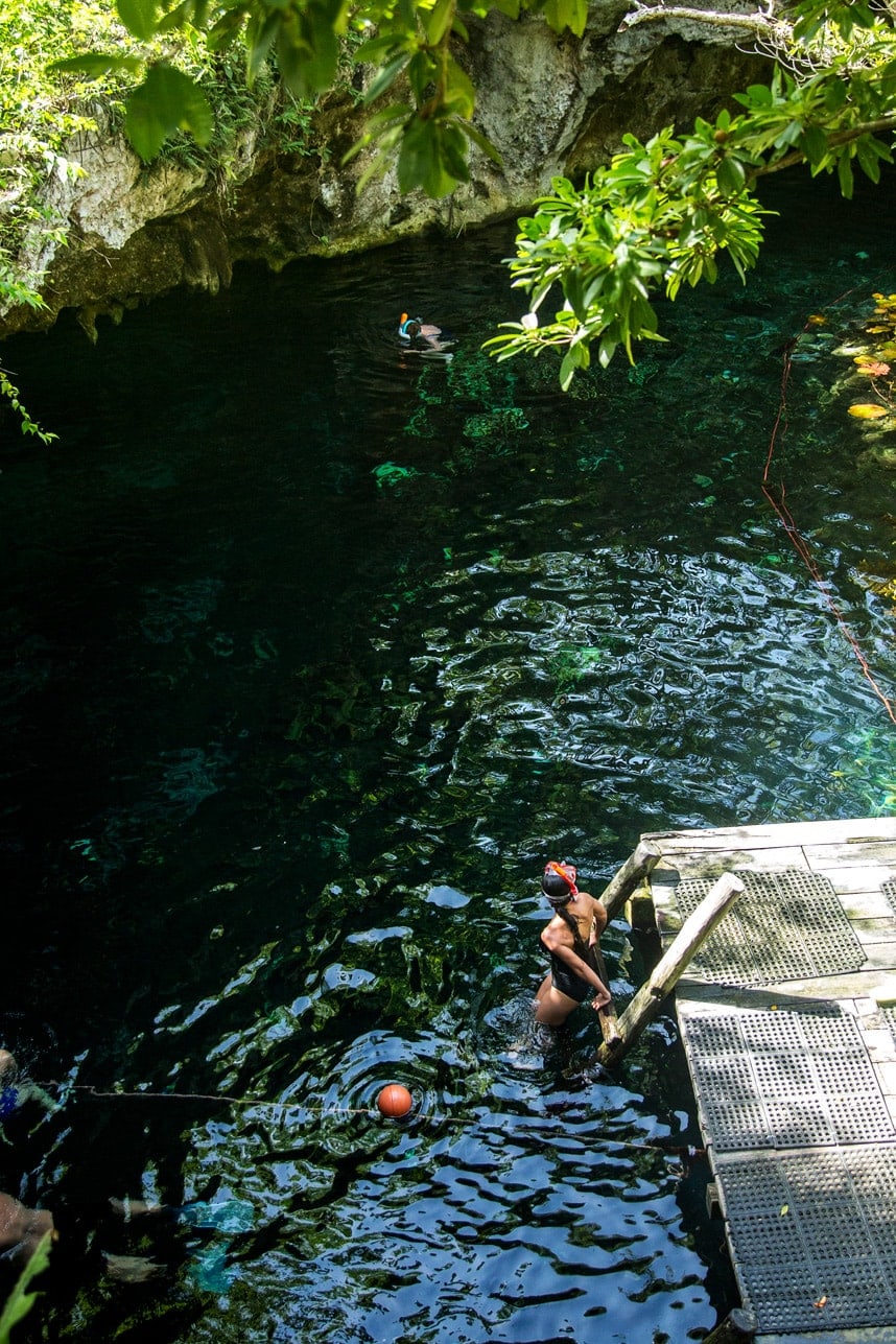 Gran Cenote Mexico - Amazingly gorgeous photos of cenotes in Mexico and great information! Thank you for pinning! 