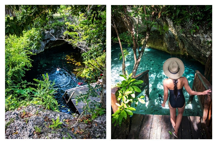 The Gran Cenote - A Hidden Gem in the Riviera Maya - Amazingly gorgeous photos of cenotes in Mexico and great information! Thank you for pinning!