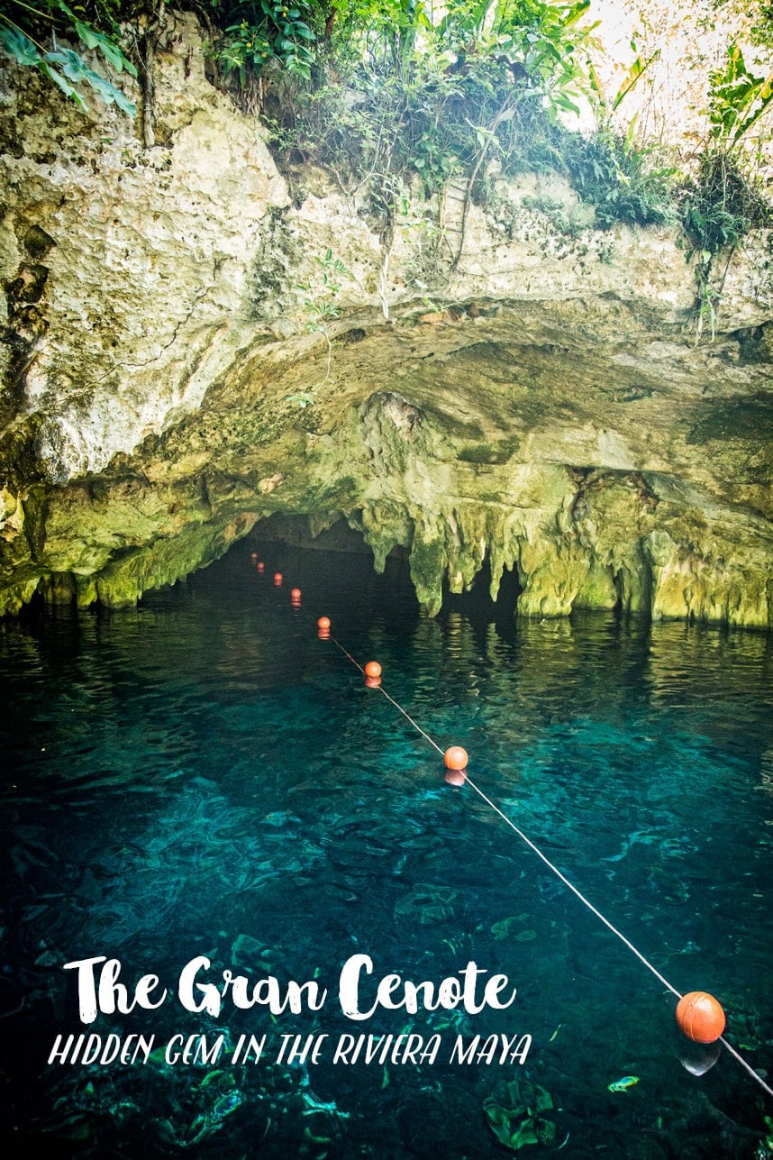 Gran Cenote Caves - Amazingly gorgeous photos of cenotes in Mexico and great information! Thank you for pinning!