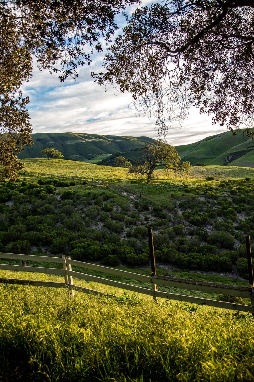 Holman Ranch - This ranch in California looks like a dream! Gorgeous place and the photos are breathtaking! Thank you for pinning.