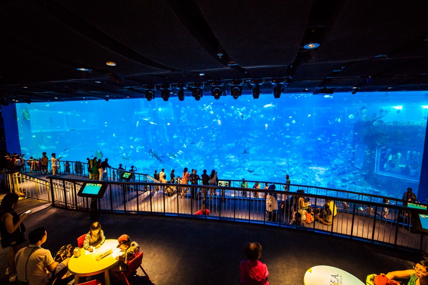 2nd largest aquarium tank in the world - 7 Things You Can’t Miss at Sentosa Island