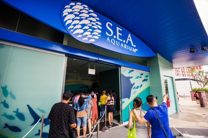 S.E.A. Aquarium - 7 Things You Can’t Miss at Sentosa Island