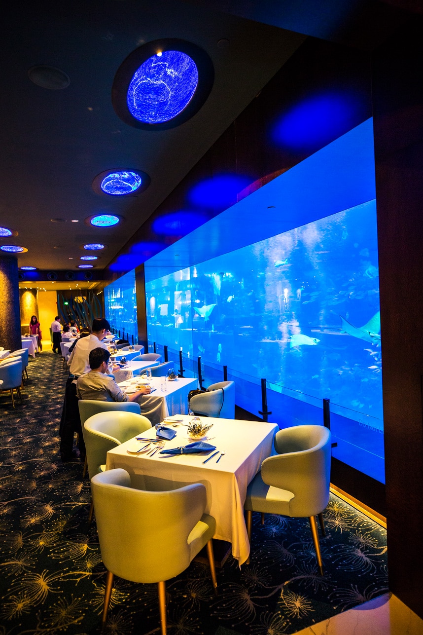 SEA Aquarium Restaurant - 7 Things You Can’t Miss at Sentosa Island