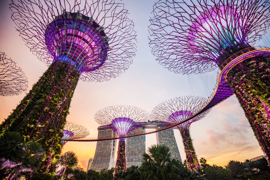 supertree grove - A Singapore Icon - Gardens by the Bay (Pics, Tickets, Hours, & Tips)