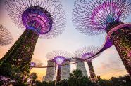 A Singapore Icon Gardens By The Bay Pics Tickets Hours Tips 