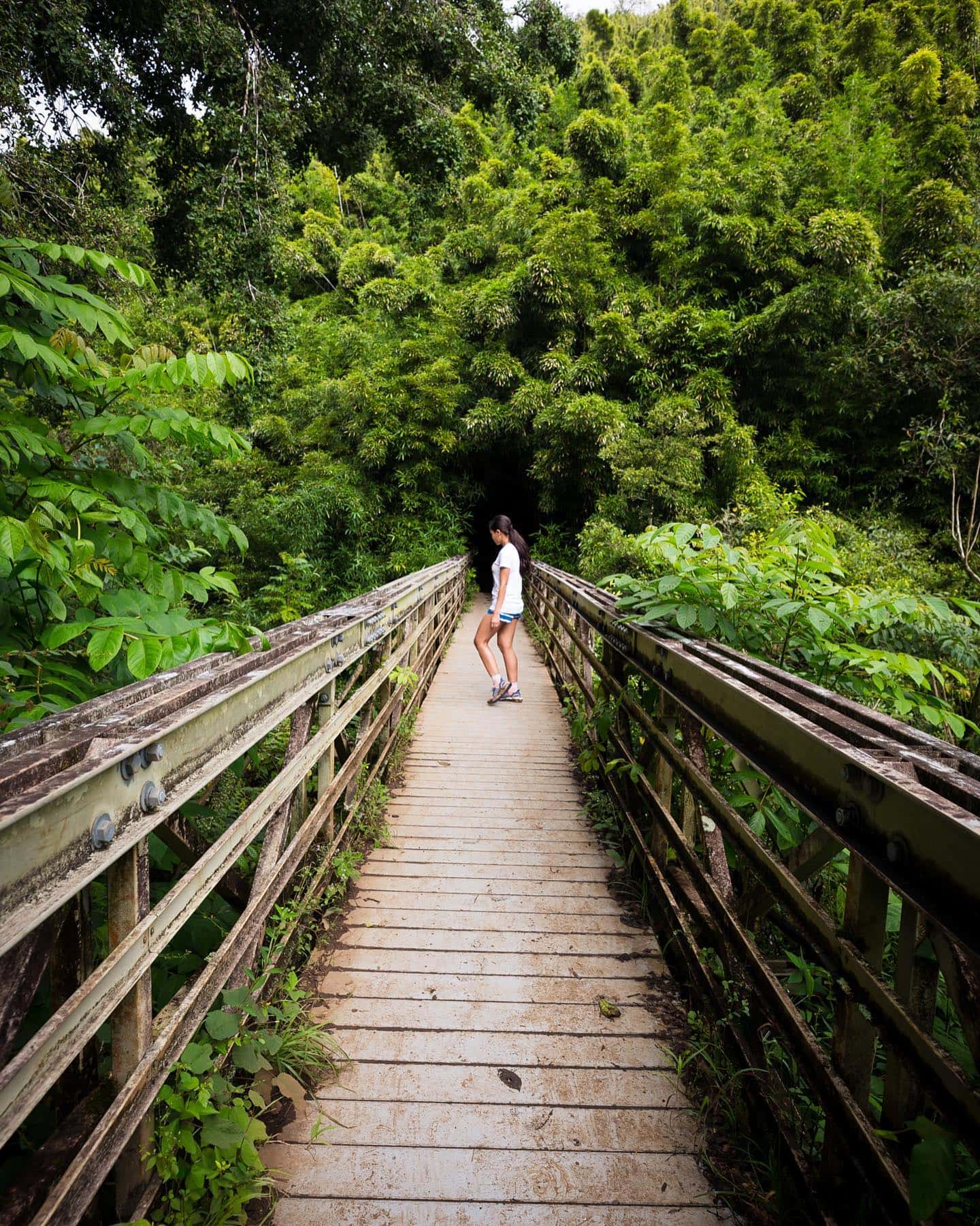 A muddy trek brought us to a bamboo forest, huge waterfalls, and some very cool bridges at the Haleakalā National Park.  Swipe 🎥 to see the videos! ❤️  This was during our trip to Hawaii last year in December.  #hawaiitravel #nationalpark #adventuretravel #letsexplore #waterfallphotography #hawaiianislands #hawaiilove #hawaiitrip
